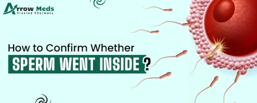 How to Confirm Whether Sperm Went Inside