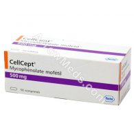 Cellcept (Mycophenolate Mofetil)