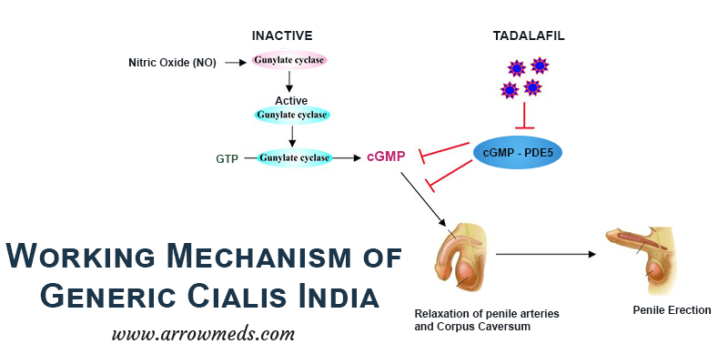 Working Mechanism of Generic Cialis India