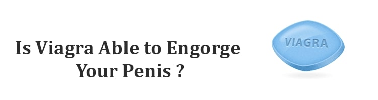 Is Viagra able to engorge your penis