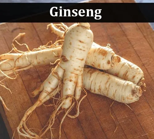 ginseng