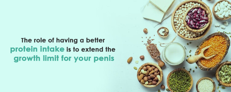 The role of having a better protein intake is to extend the growth limit for your penis
