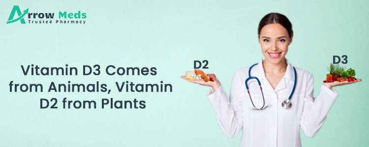 Vitamin D3 Comes from Animals, Vitamin D2 from Plants