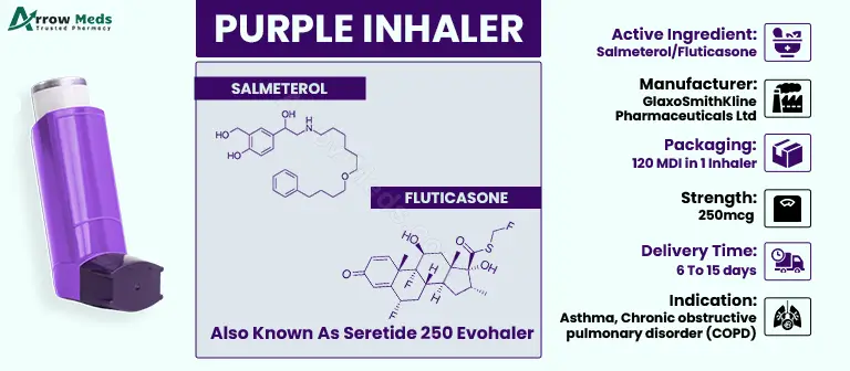 Purple Inhaler