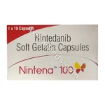 Nintena-100