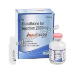 JGlut 2000