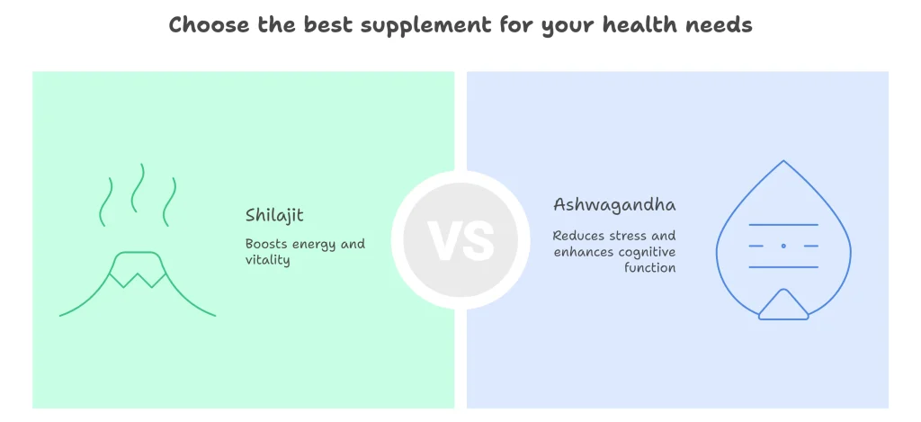 Shilajit vs Ashwagandha Which is better