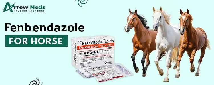 Fenbendazole for Horses